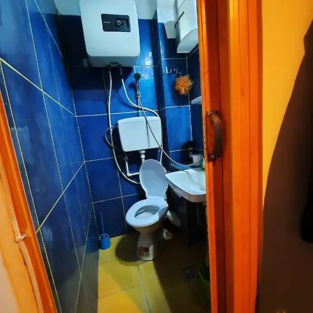 Poveste De Vara - Copaci, Parc Si Mare *